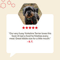 Dog with a review text and star rating on a beige background