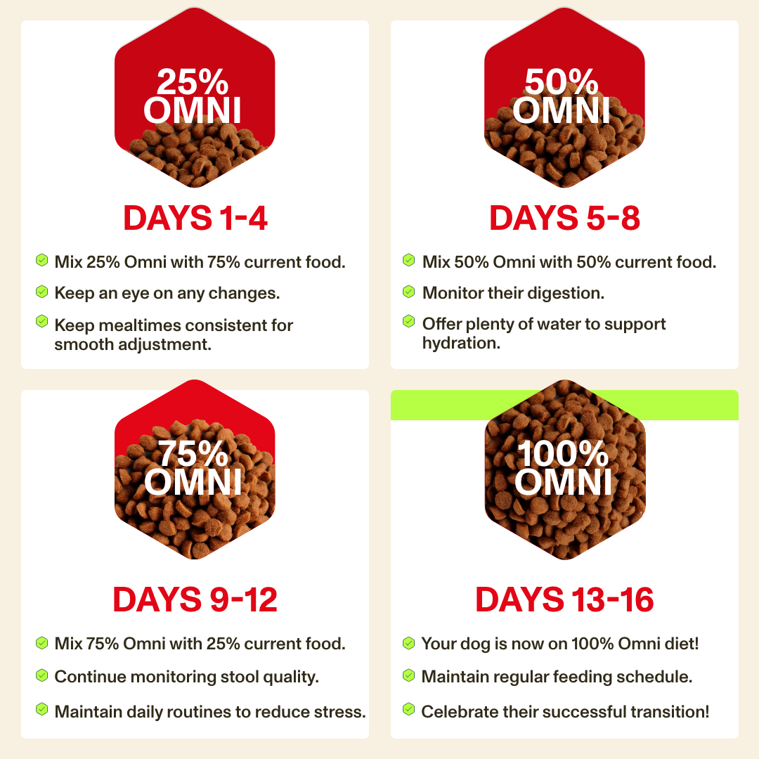Adult Dry Food