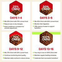 Adult Dry Food