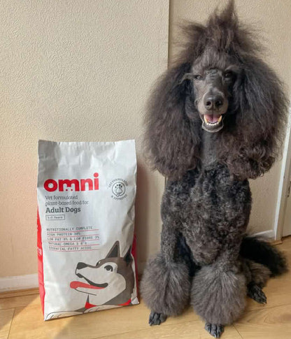 Plant Powered Dog Food For Weight Loss