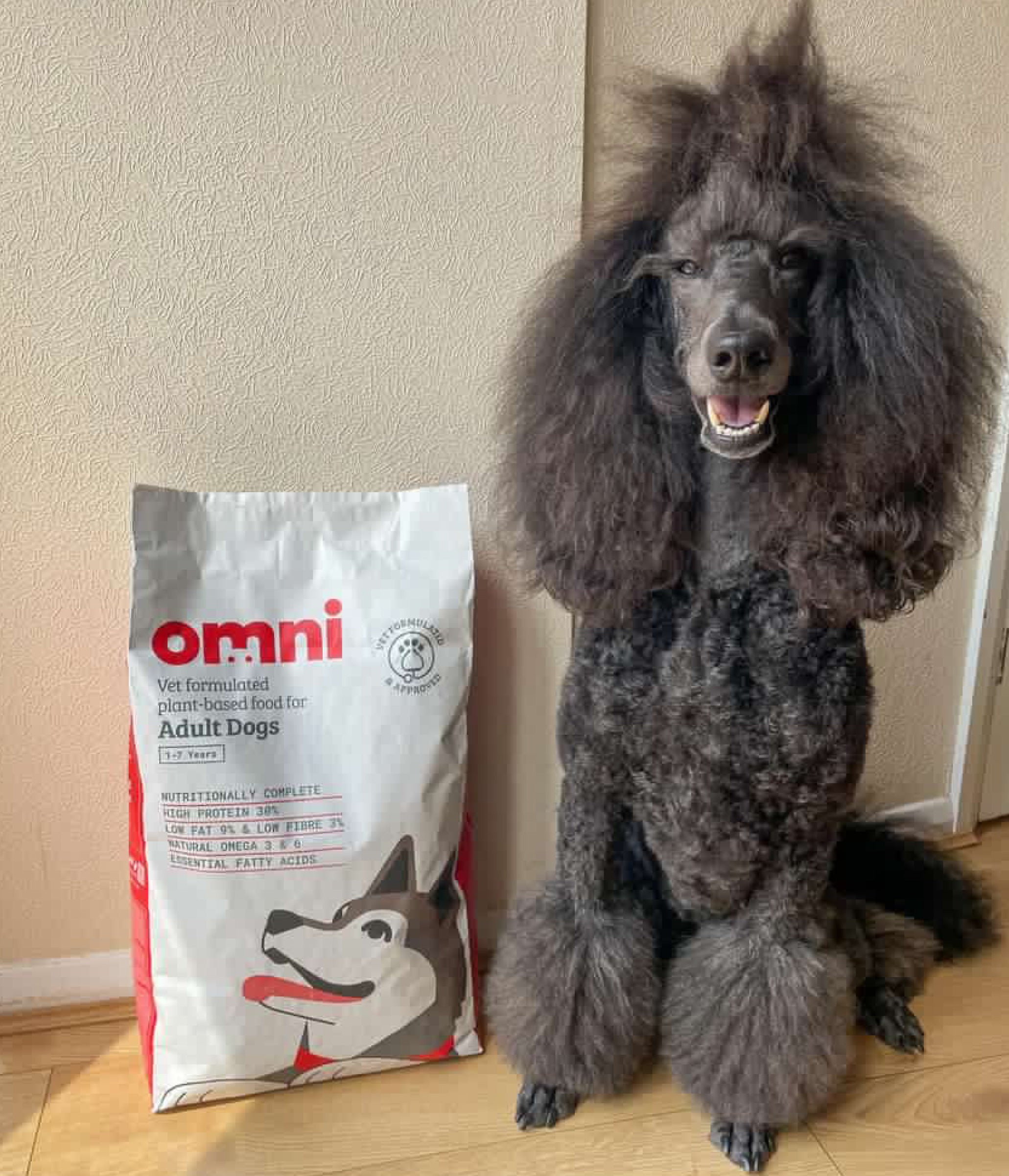 Low Fat High Protein Plant Powered Dog Food Omni pet ltd