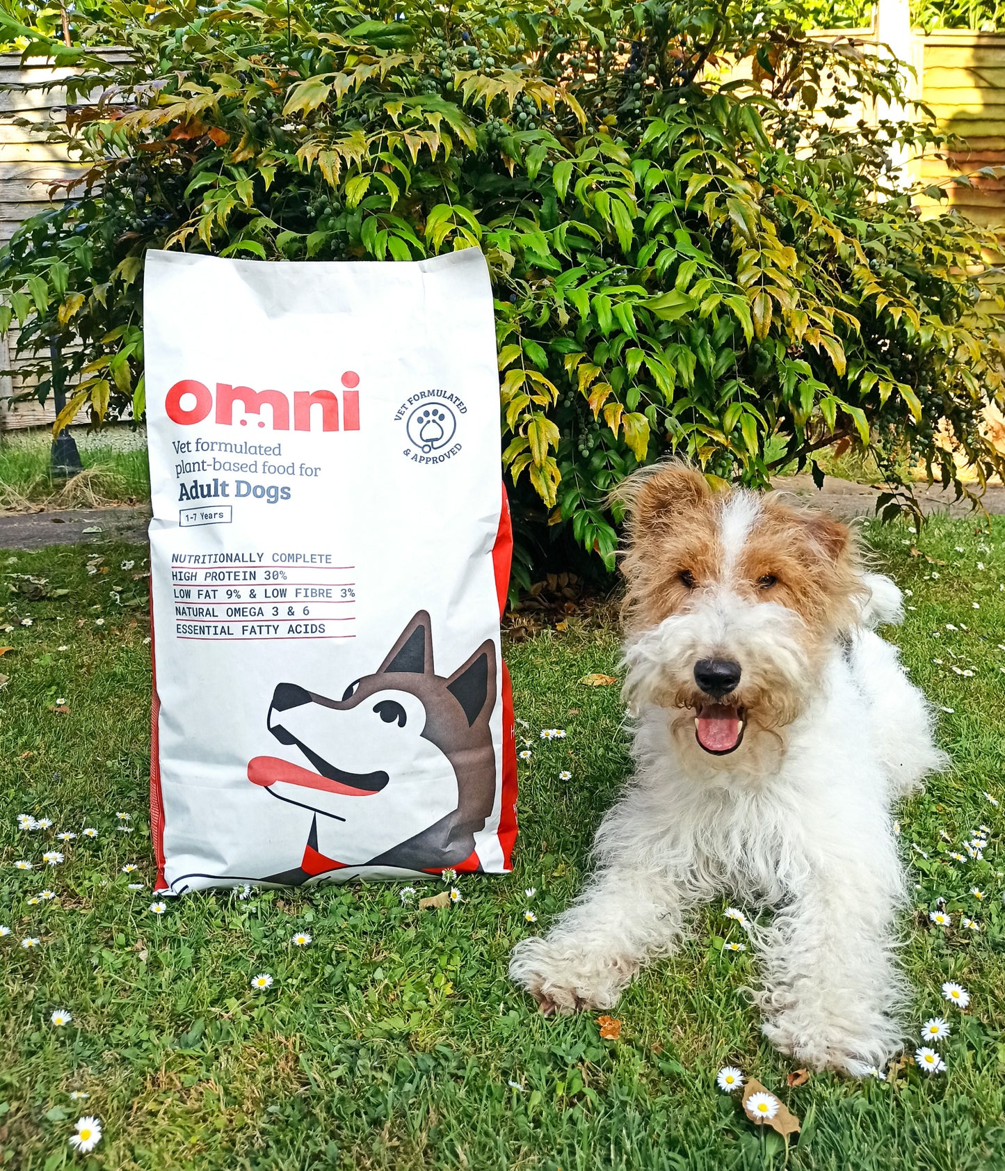 Alimentos para perros con alimentación de plantas totalmente naturales