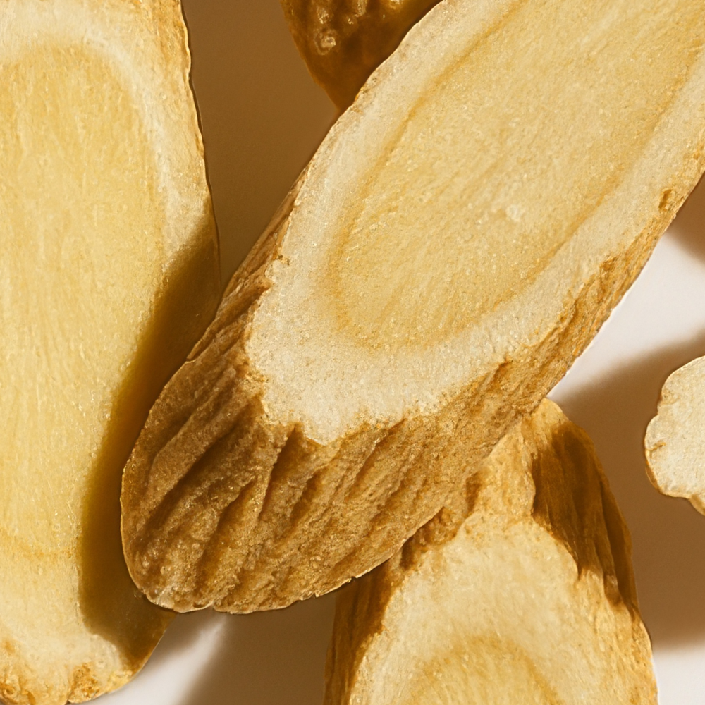 Astragalus Root Powder
