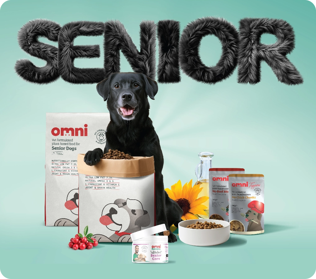 SENIOR YEARS BUNDLE