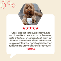 Dog with a supplement container and a five-star review on a beige background