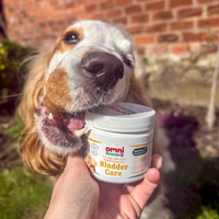 Dog holding a container of Omni Rescue Bladder Care supplement in front of a brick wall.
