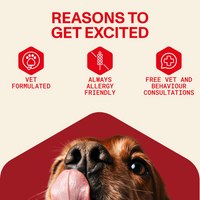 Dog's face with 'Reasons to Get Excited' text and icons on a red and beige background