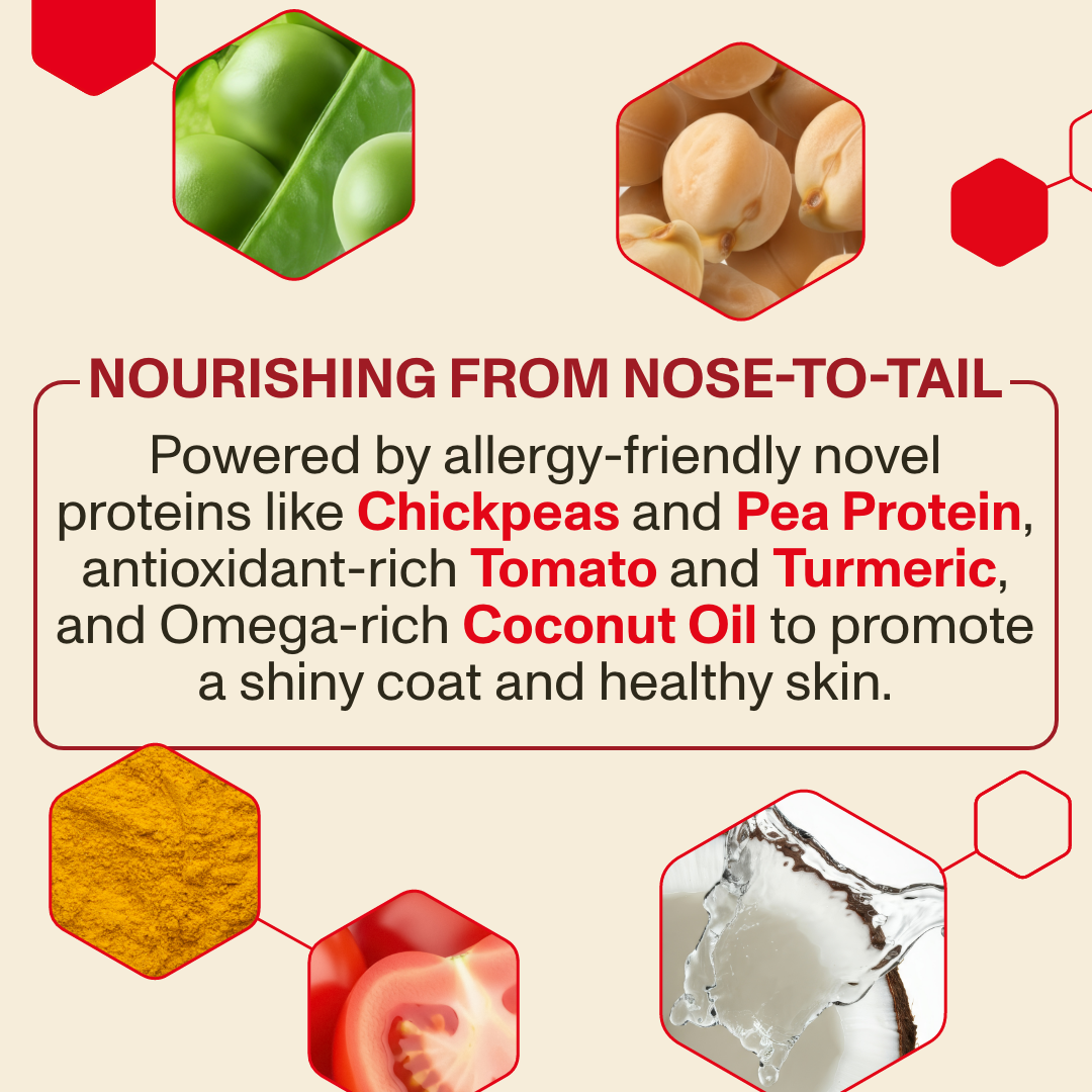 Product advertisement with ingredients like chickpeas, pea protein, tomato, turmeric, and coconut oil on a beige background.