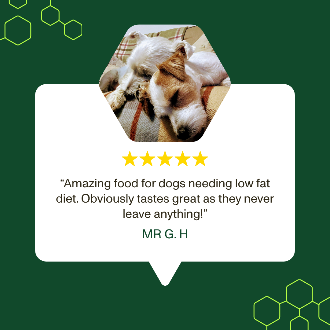 Five-star rating with a dog on a green background