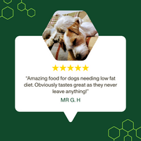 Five-star rating with a dog on a green background