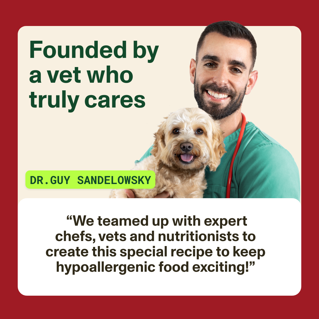 Man in green shirt holding a dog with text about a vet teaming up with chefs, vets, and nutritionists.