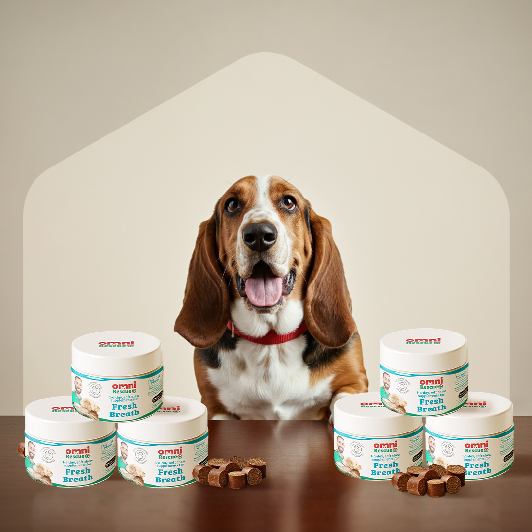 Fresh Breath Supplement - 1