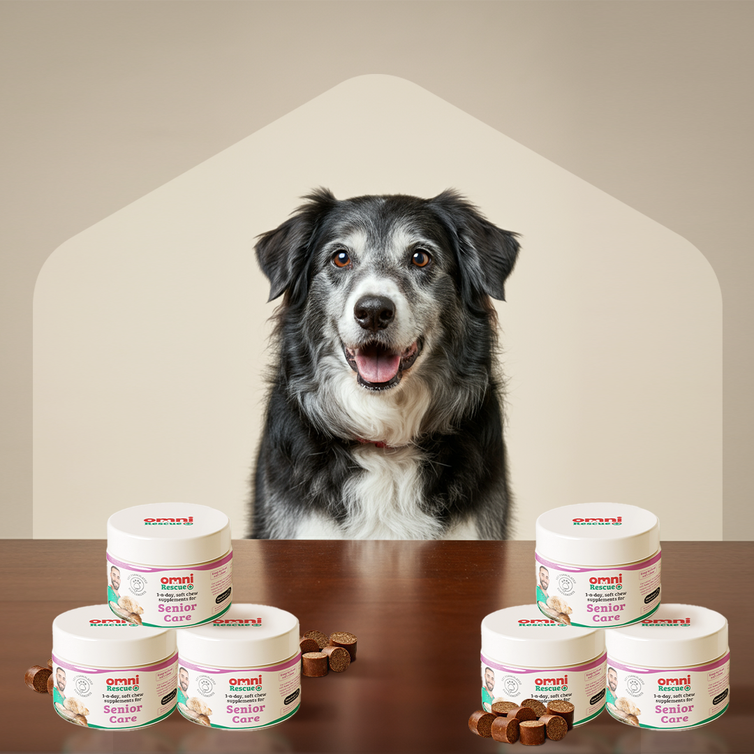 Senior Care Supplement - 1