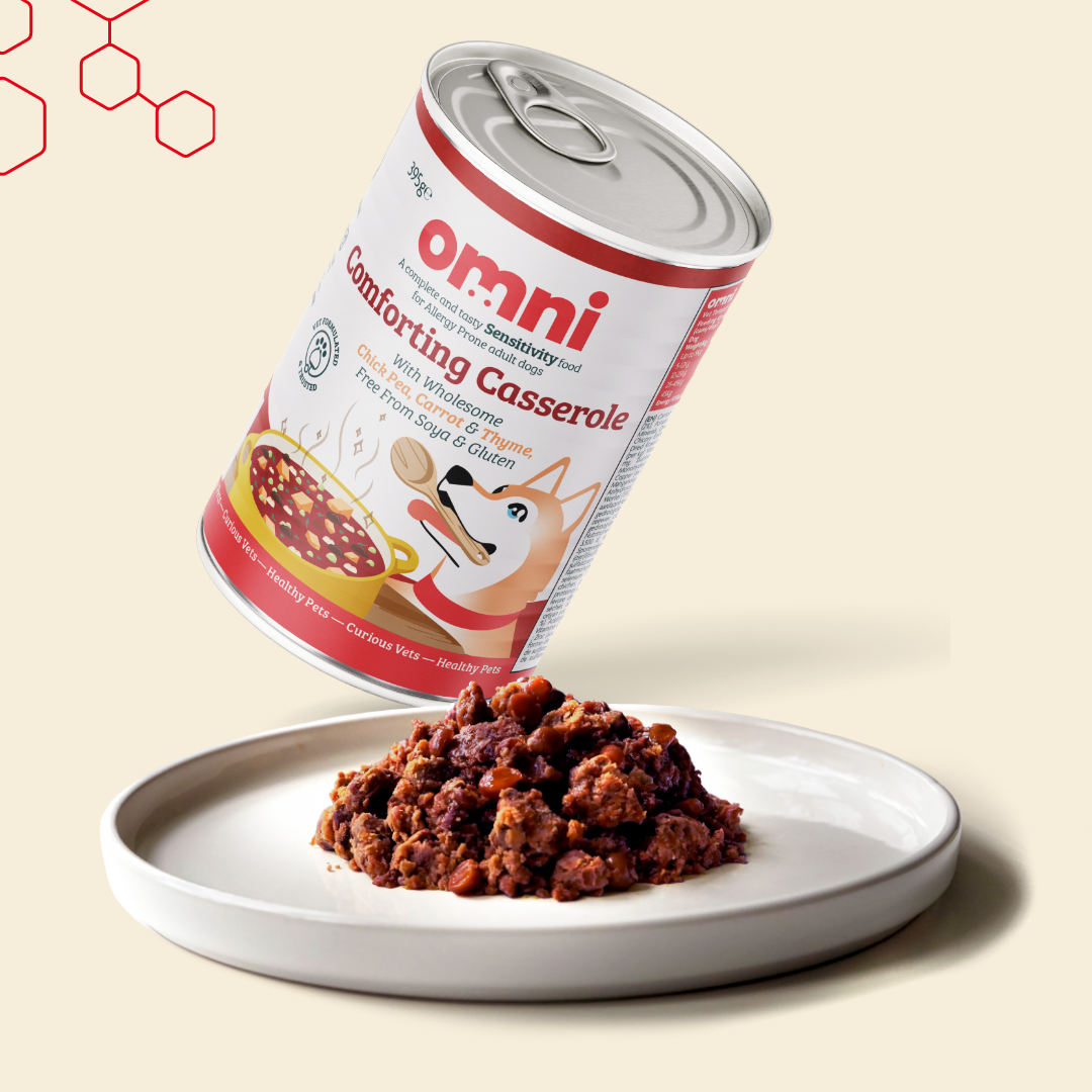 Can of Omni Comforting Casserole pet food on a beige background