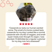 Dog eating from a can with a five-star review text overlay on a beige background