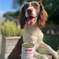 Dog sitting outdoors with an Omni canned pet food can in front