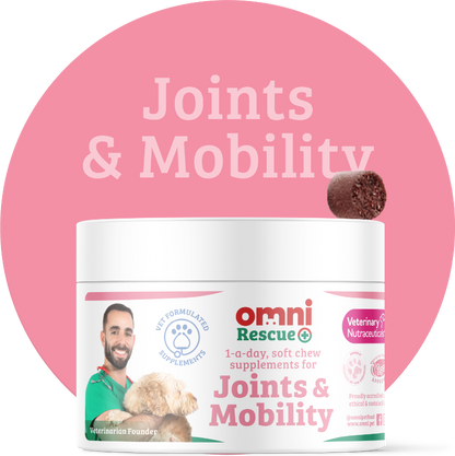 Omni Rescue - Supplement 'Gewrichten &amp; Mobiliteit'