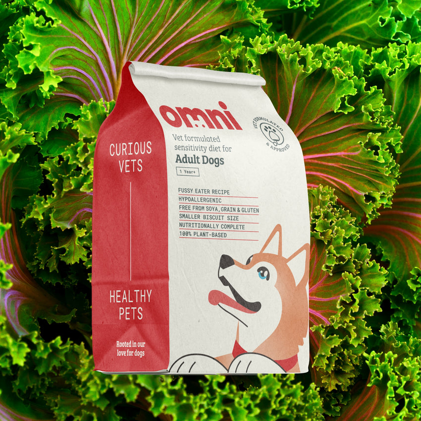 Dog food package with 'omni' branding on a green leafy background