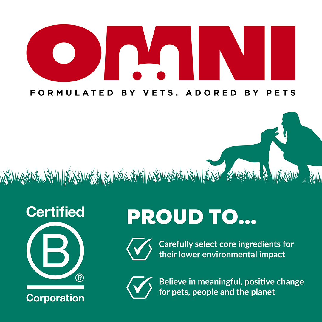 A branded graphic for OMNI pet food featuring a large red OMNI logo at the top, black supporting text, a dark green silhouette of a person crouching with a dog on grass, and a dark green lower section with a Certified B Corporation seal and the text 'PROUD TO.
