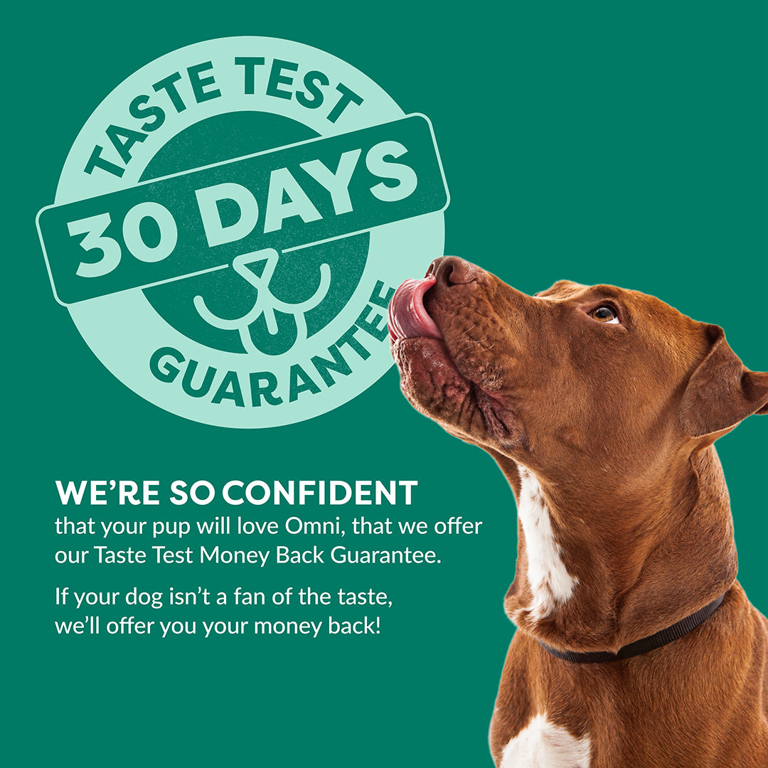 A brown and white dog licking its lips against a teal background, next to a large circular graphic that says 'Taste Test 30 Days Guarantee' with supporting text about a money-back guarantee.