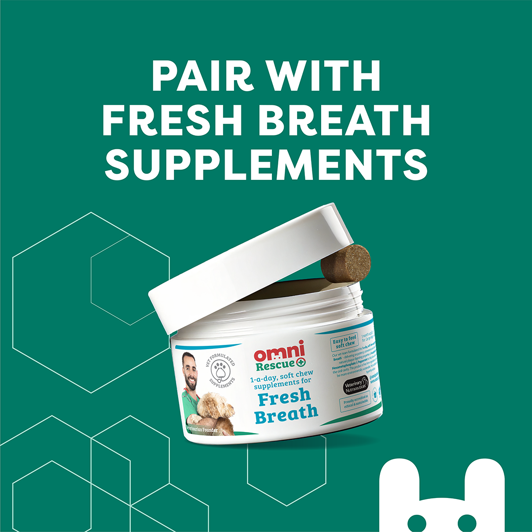 A promotional graphic for Omni Rescue Fresh Breath supplements, showing an open white jar with a brown chew visible inside, set against a teal background with large white text reading 'PAIR WITH FRESH BREATH SUPPLEMENTS'.