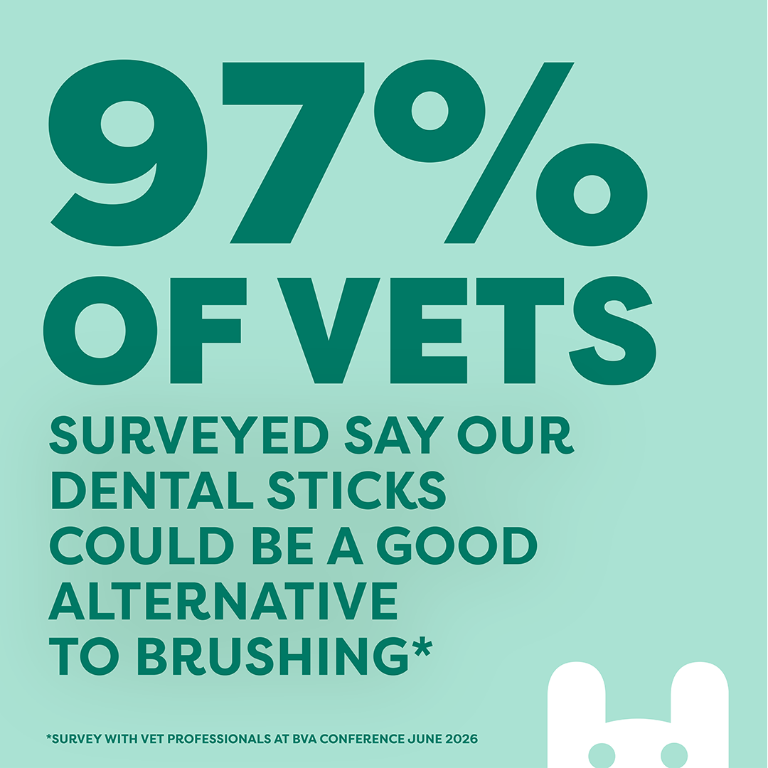 A teal and mint green promotional graphic with large text reading '97% OF VETS' and smaller text below stating 'Surveyed say our dental sticks could be a good alternative to brushing*'. A small white rabbit head icon appears at the bottom right.
