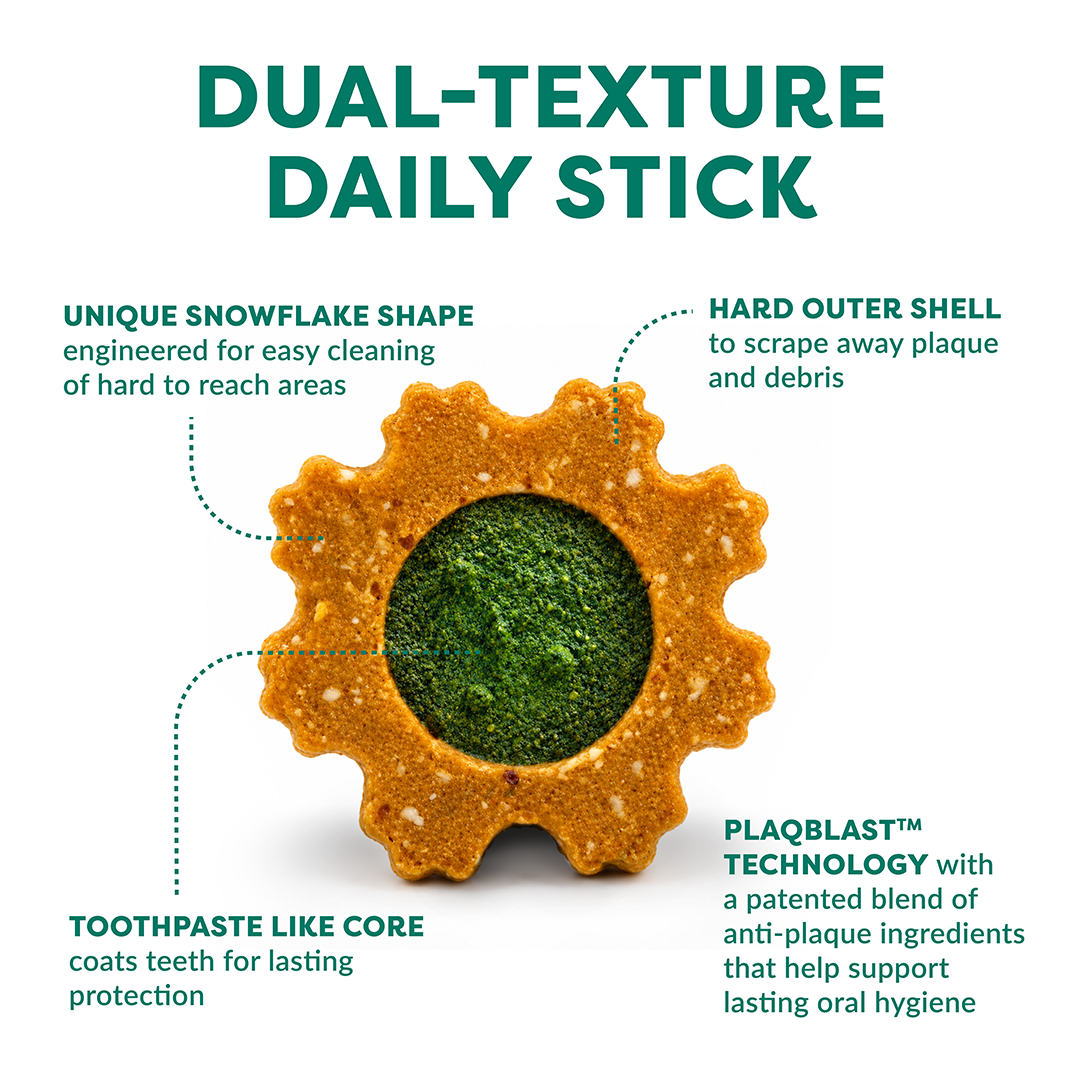 A dog dental chew shaped like a snowflake, labeled as a dual-texture daily stick. The outer edge is golden-brown with a textured, porous surface, and the center is a vibrant green.