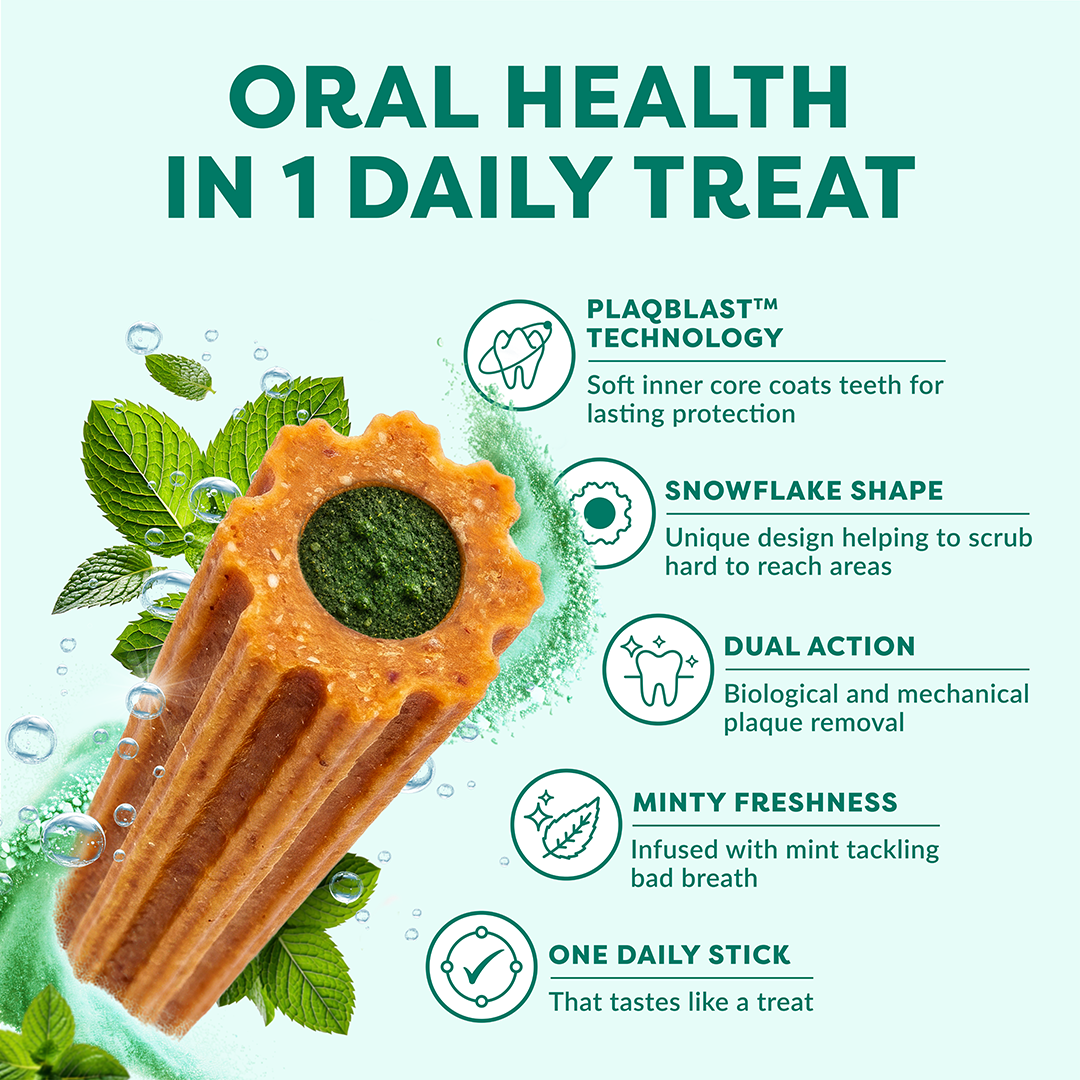 A promotional graphic for a pet oral health daily treat. The main subject is a brown, ridged cylindrical treat with a green center, shown with mint leaves and bubbles on a light aqua background.