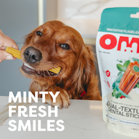 A golden retriever dog is shown eating a minty dental stick while a human hand offers another stick.