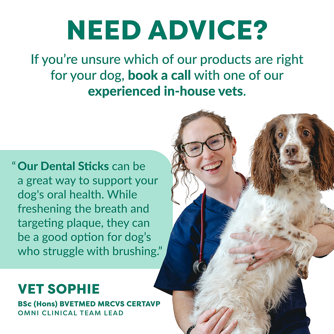 Promotional graphic for veterinary dental care featuring a smiling vet in blue scrubs holding a brown and white dog, with teal text offering advice and quoting Vet Sophie.