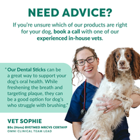 Promotional graphic for veterinary dental care featuring a smiling vet in blue scrubs holding a brown and white dog, with teal text offering advice and quoting Vet Sophie.