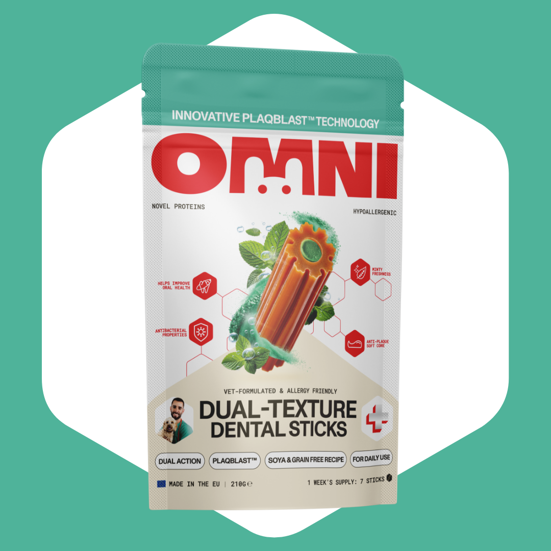 Package of Omni Dual-Texture Dental Sticks on a green background