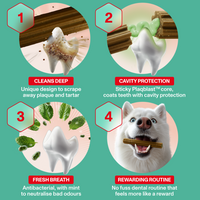 Dog chew product with features on a green background