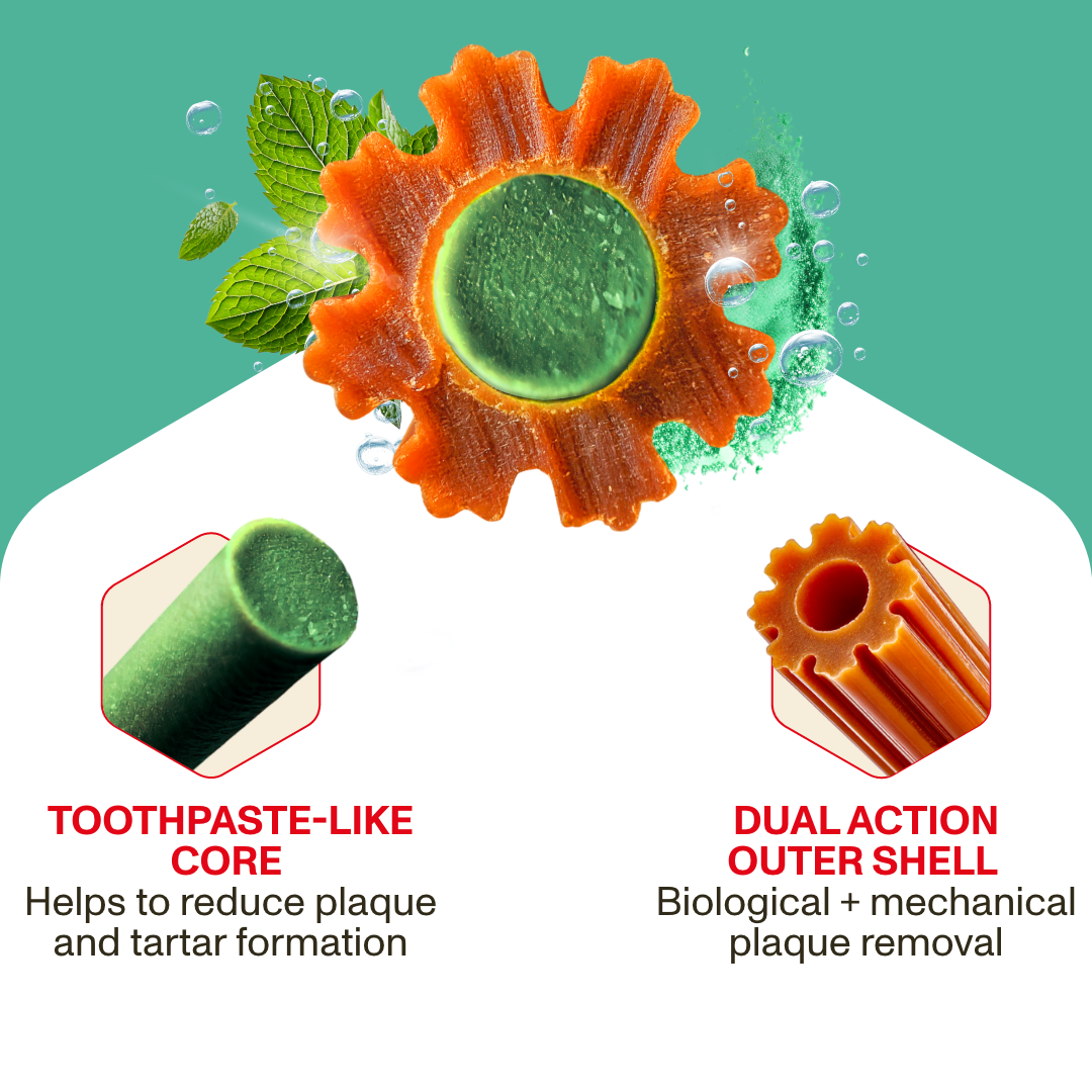 Teeth cleaning product with toothpaste-like core and dual action outer shell on a green background