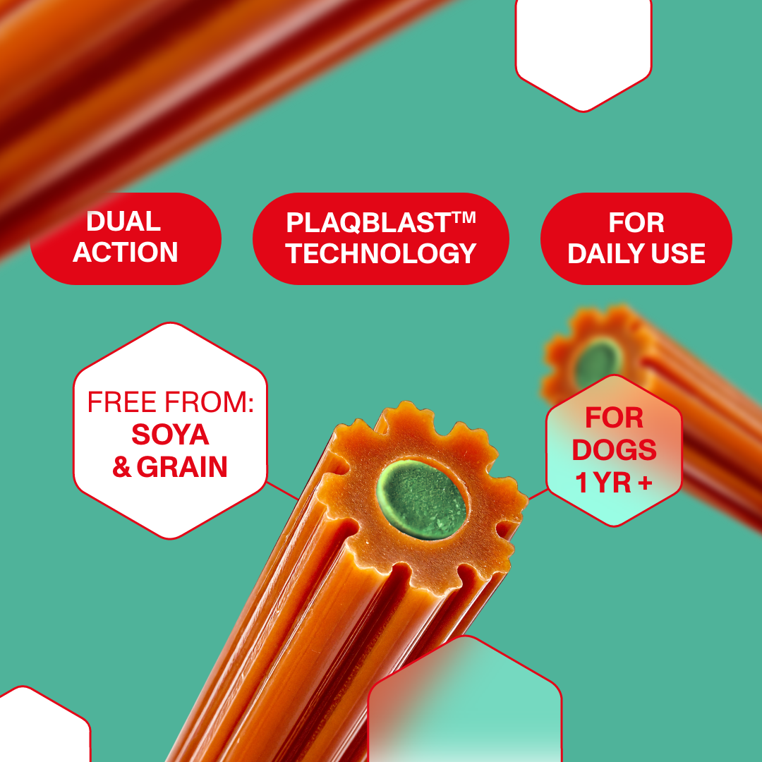 Dog treat packaging with text highlighting features on a green background