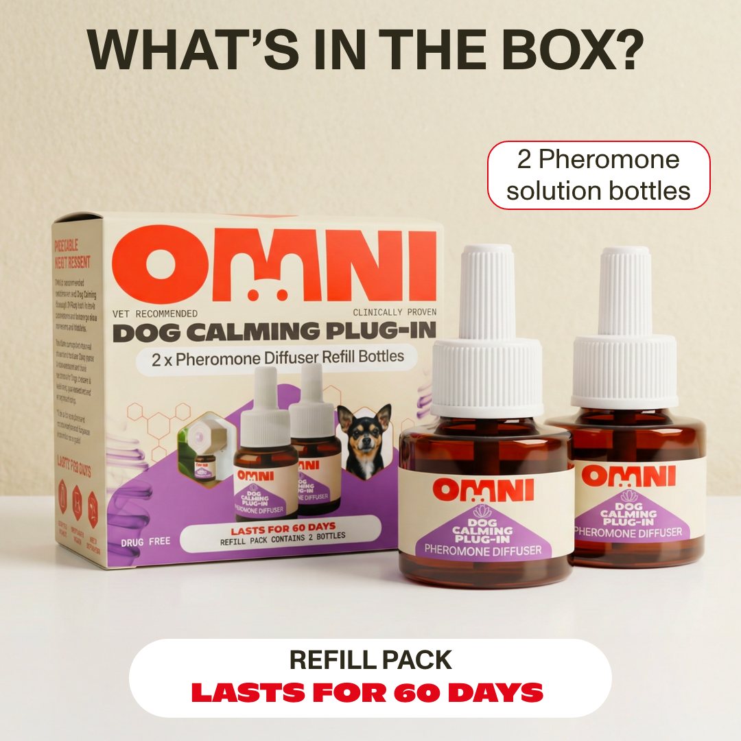 OMNI dog calming product set with packaging and bottles on a beige background