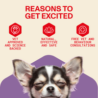 Dog with text 'Reasons to Get Excited' and icons on a beige background