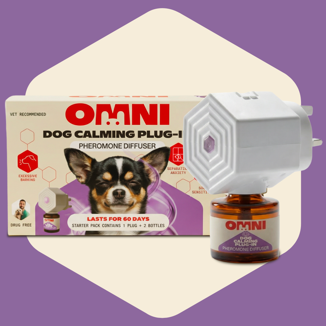 OMNI dog calming plug-in with packaging on a purple background