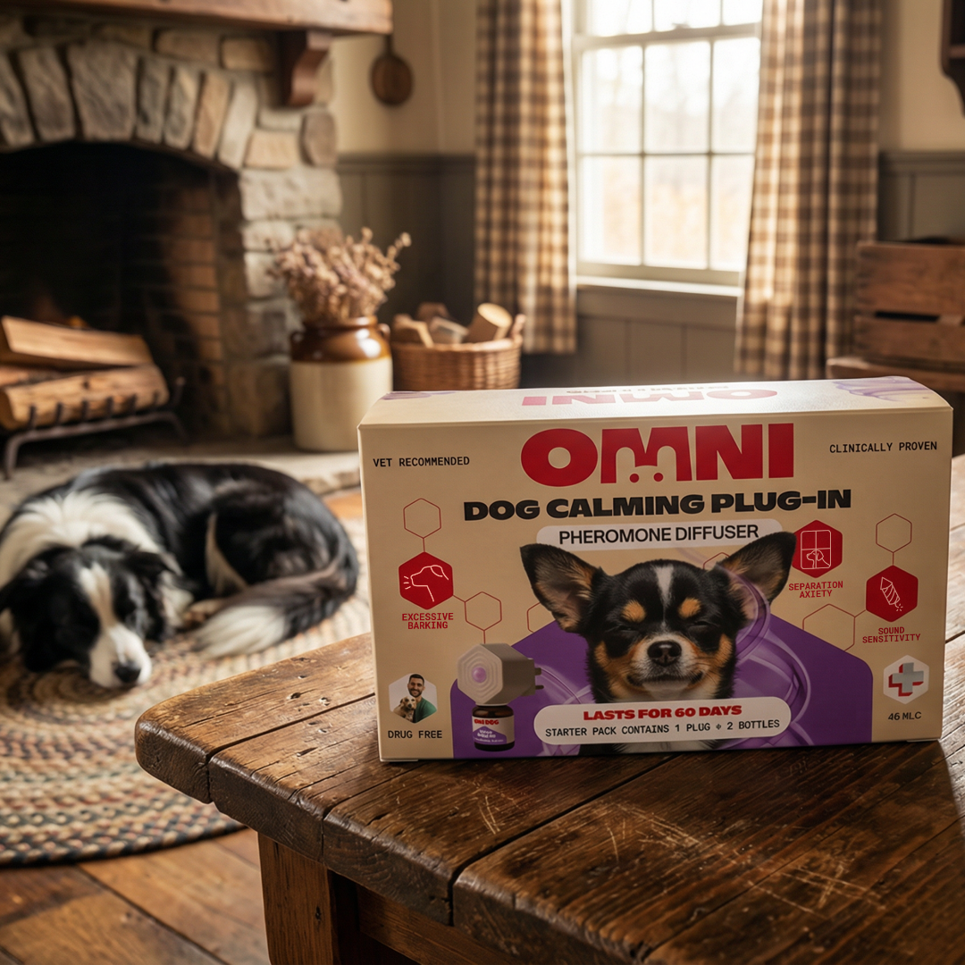 Omni dog calming plug-in box on a wooden table with a dog lying in the background.