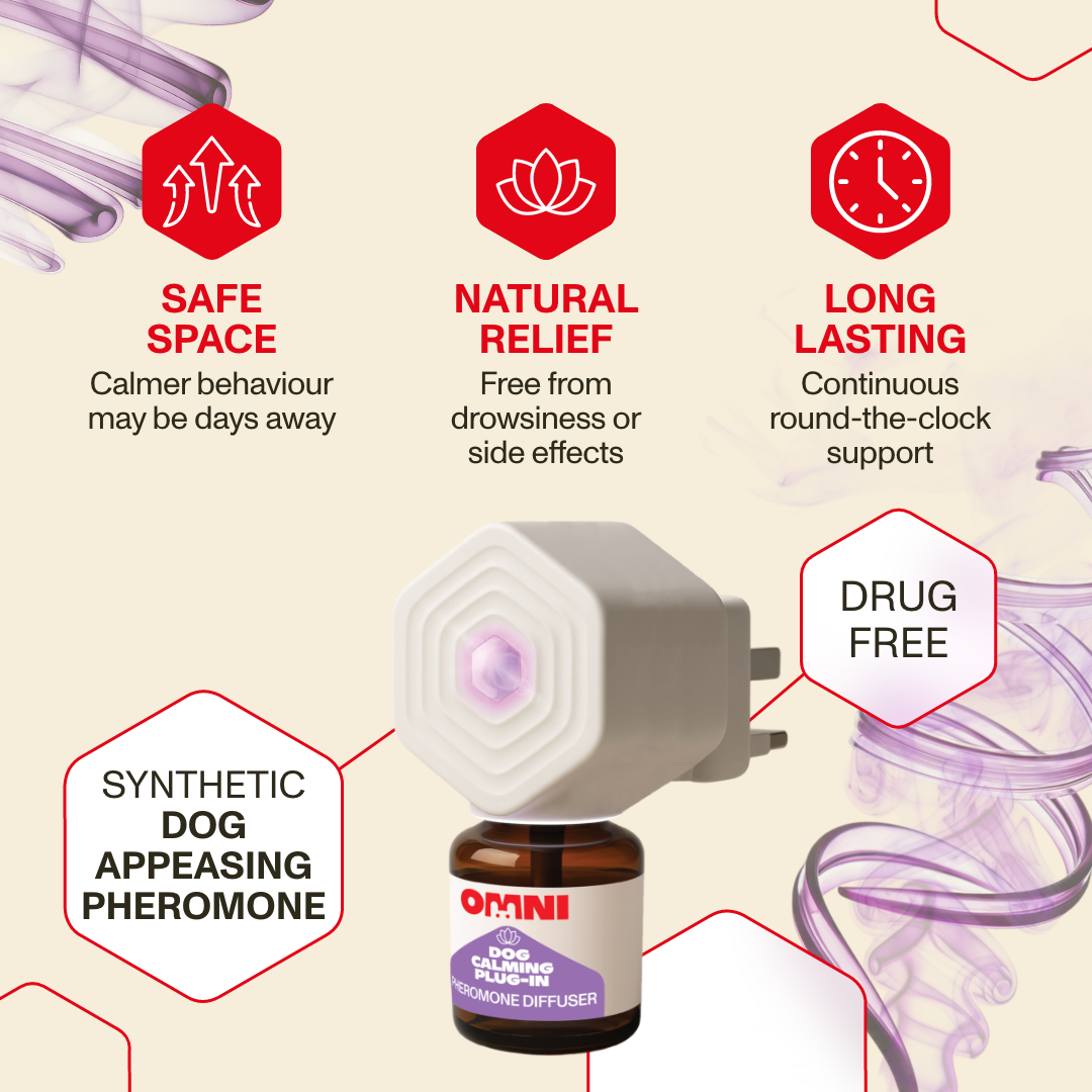 Omni dog appeasing pheromone diffuser with features on a beige background