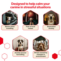 Product for calming devices for dogs in various stressful situations with images and text.