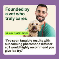 Vet holding a dog with text about a calming pheromone diffuser