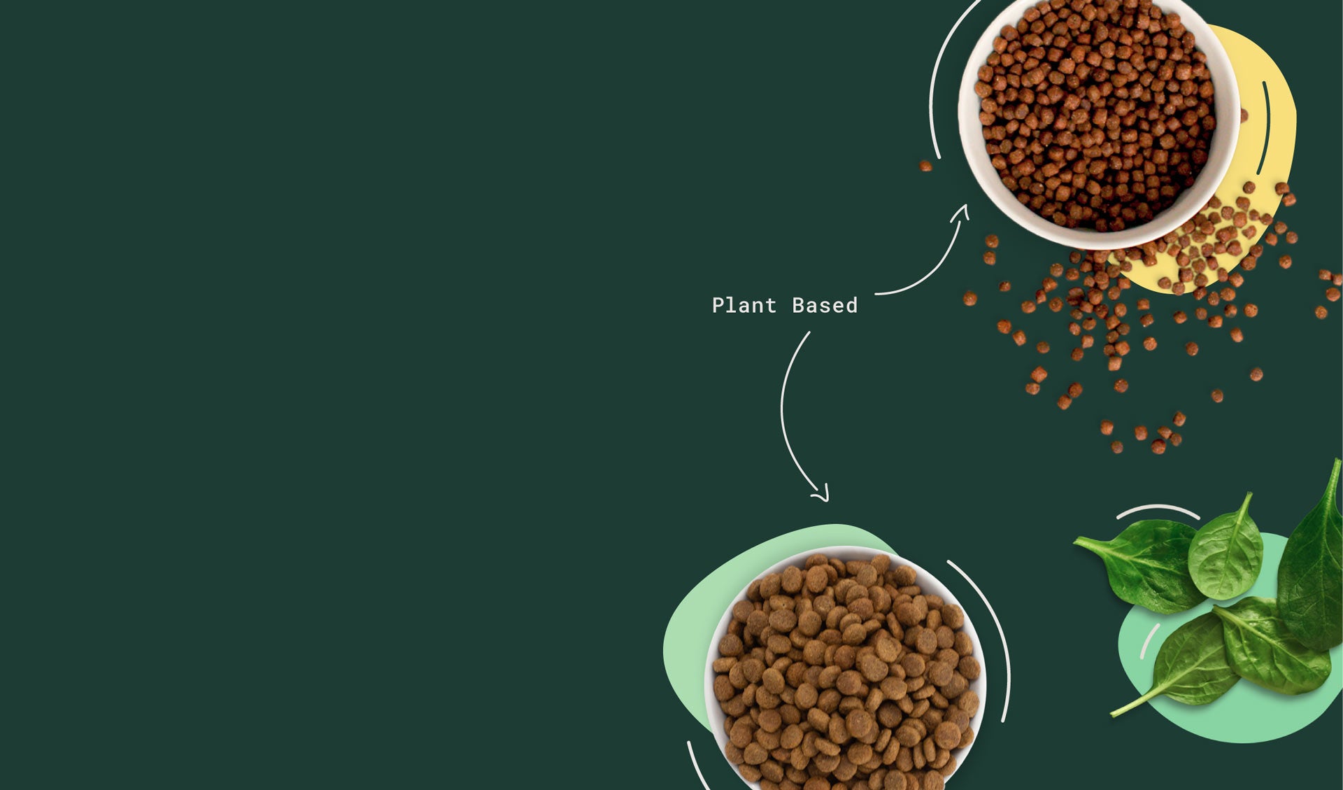 Stunning Omni Dog Food Artwork for Mobile Stunning Omni Dog Food Artwork for Mobile