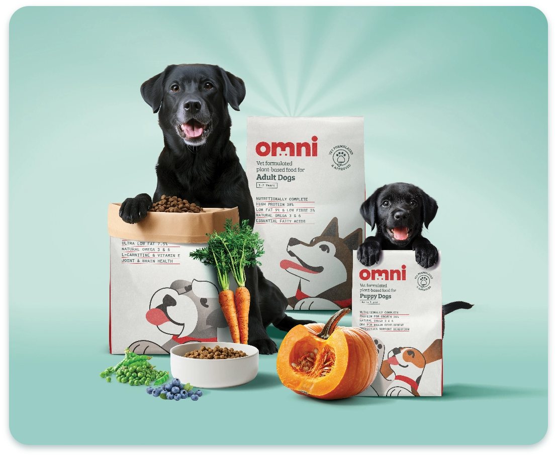 2019 whole dog journal approved dry dog food list clearance