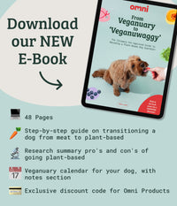 Veganuary eBook