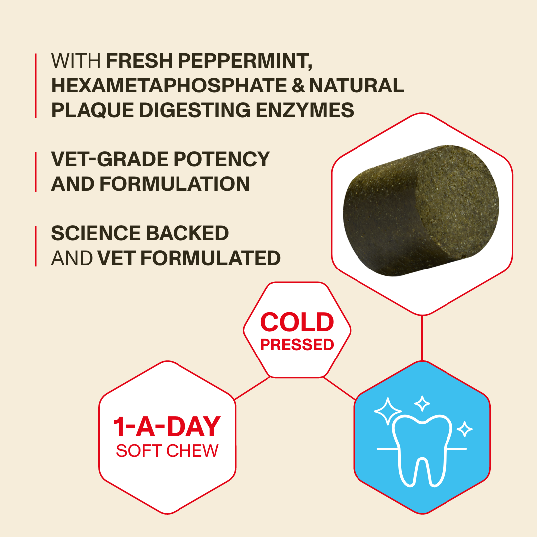 Product packaging with text about fresh peppermint, hexametaphosphate, natural plaque digesting enzymes, vet-grade potency, cold pressed, 1-a-day soft chew, and science-backed formulation.