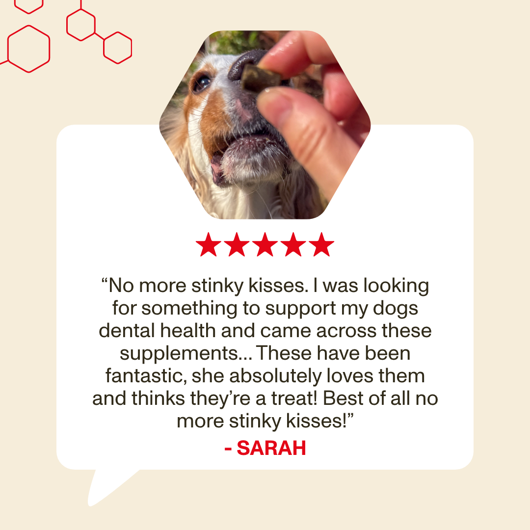 Dog receiving a treat with a five-star rating and review on a beige background