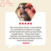 Dog receiving a treat with a five-star rating and review on a beige background