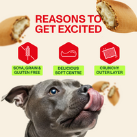 Fruit Crumble Snack Pockets