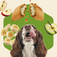 Fruit Crumble Snack Pockets